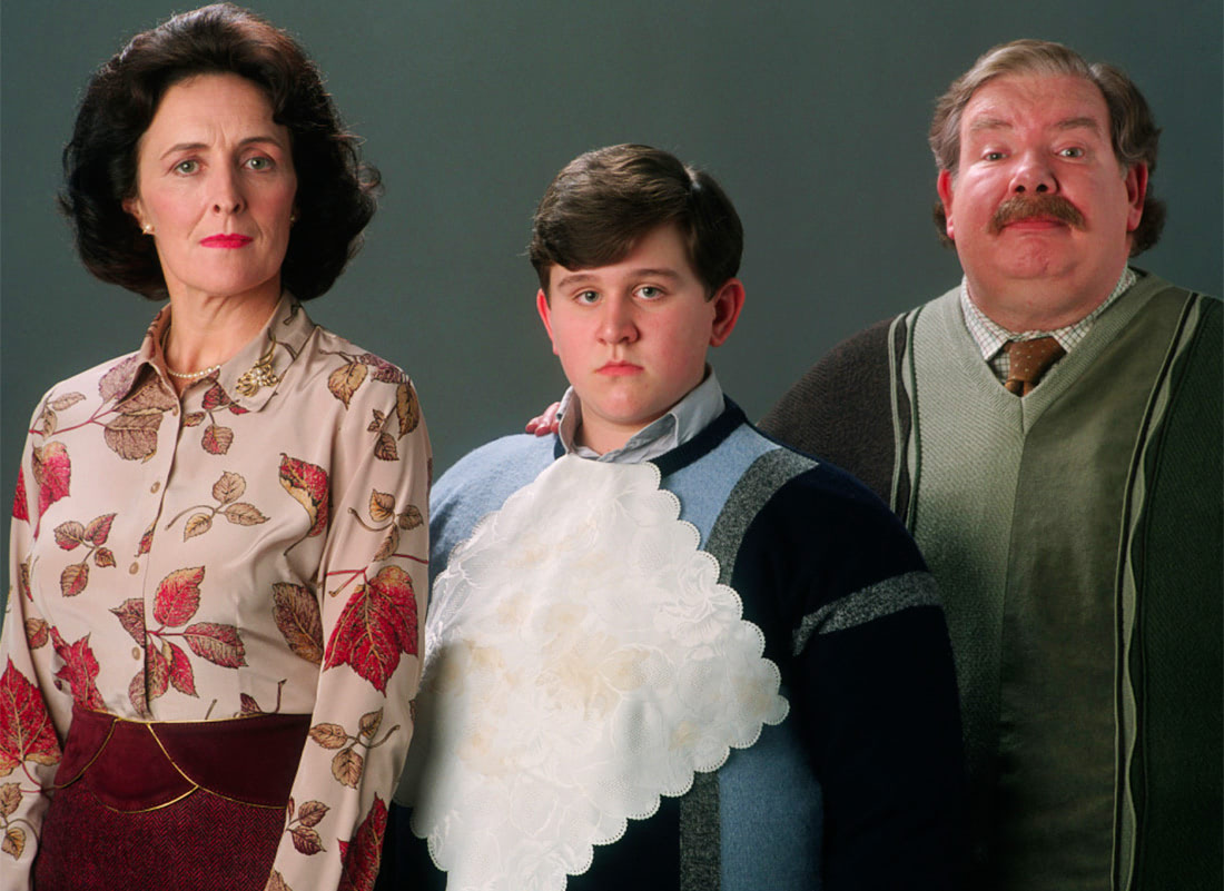 The Dursley Family Harry Potter Fan Zone The Dursley Family Harry Potter Fan Zone
