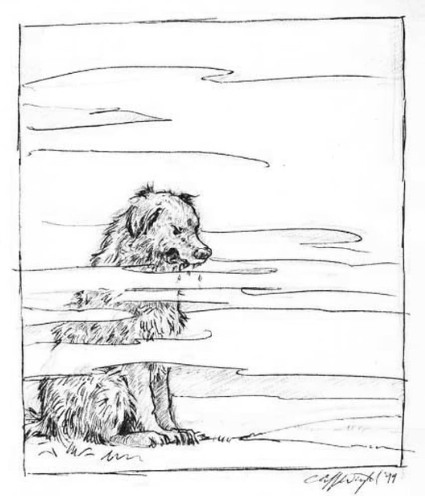 Sirius Black dog (early draft) (Cliff Wright sketch)