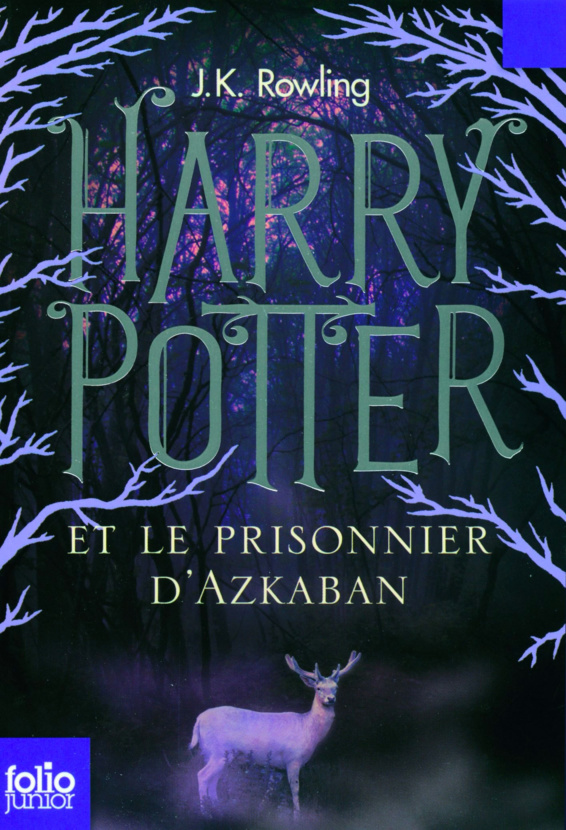 ‘Prisoner of Azkaban’ French adult edition
