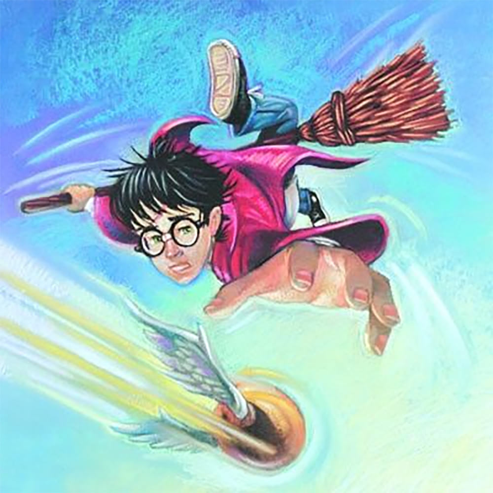 Harry catches the Golden Snitch