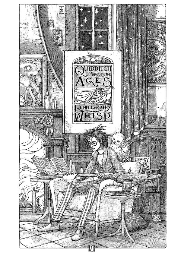 Harry reads Quidditch Through the Ages (house editions)