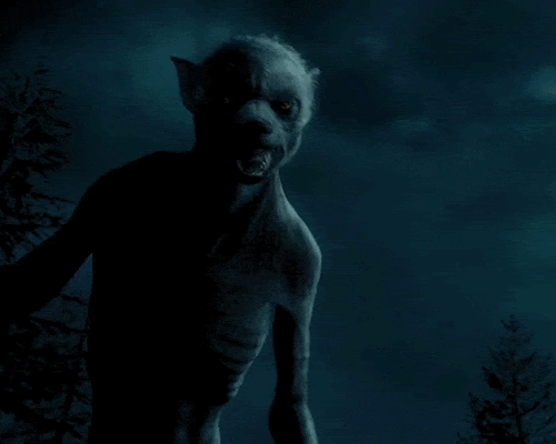 Remus Lupin in werewolf form