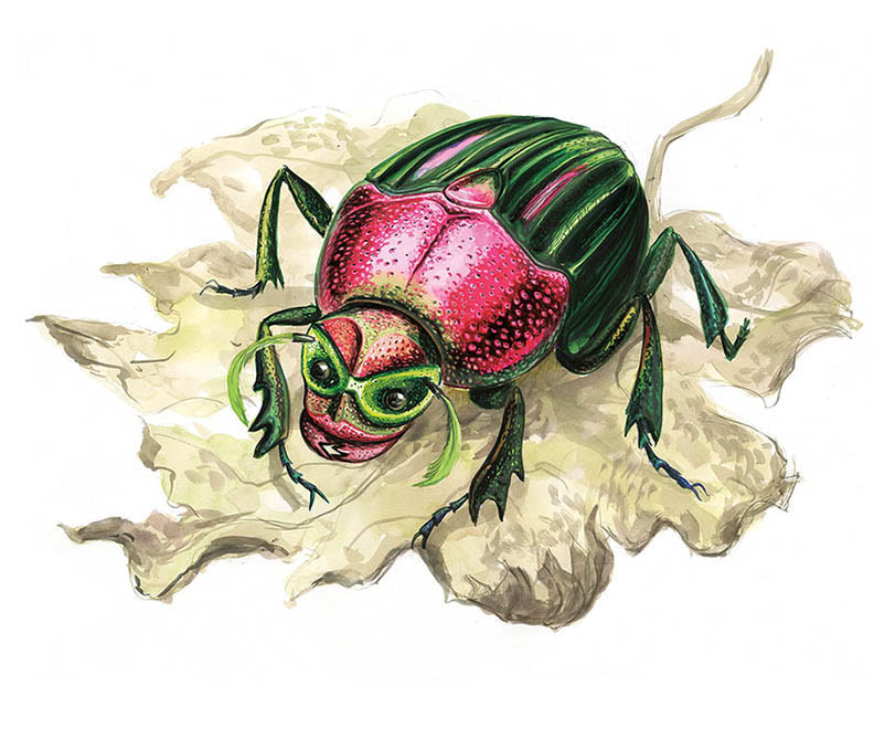 Rita Skeeter as a beetle