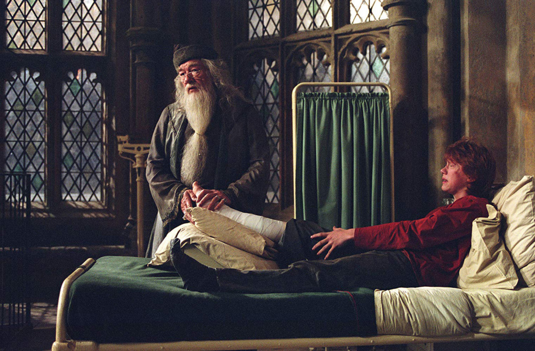 Ron and Dumbledore in the Hospital Wing — Harry Potter Fan Zone