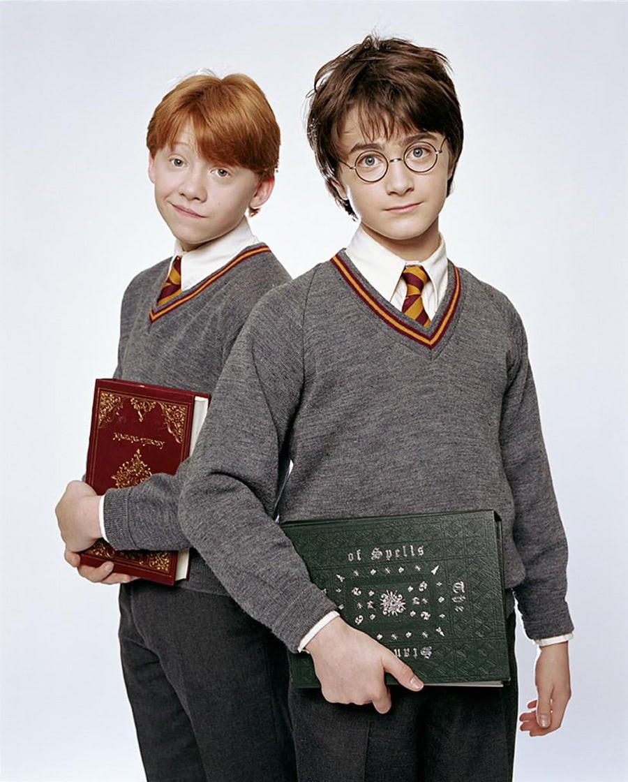 Portrait of Ron Weasley and Harry Potter