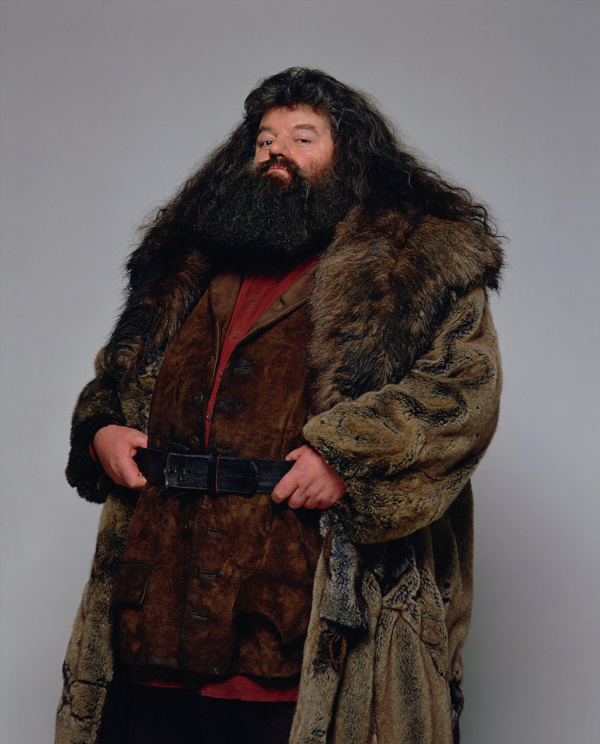 hagrid rubeus harry potter