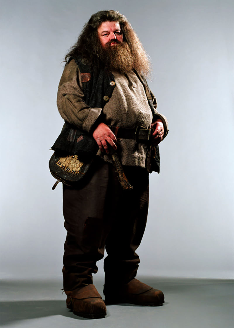 Portrait of Rubeus Hagrid