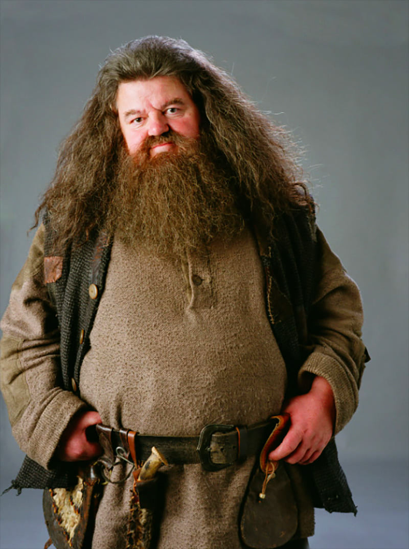 Portrait of Rubeus Hagrid