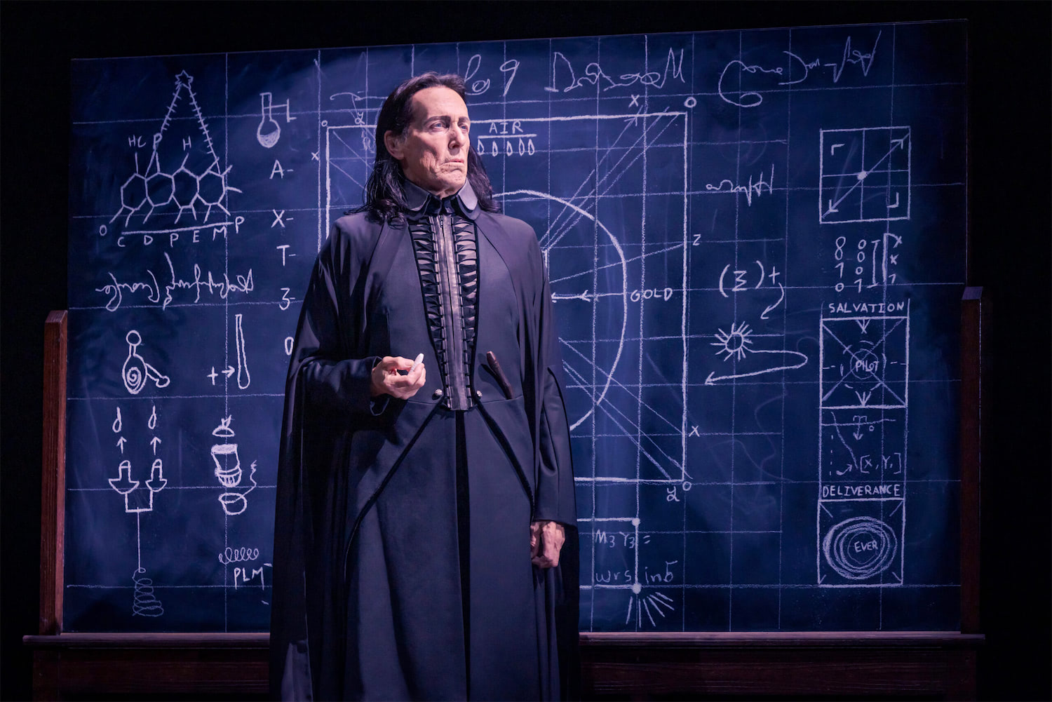 Larry Yando as Severus Snape in Harry Potter and the Cursed Child