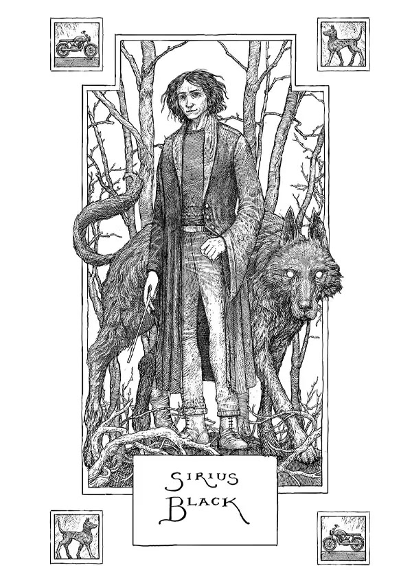 Sirius Black portrait (house editions)