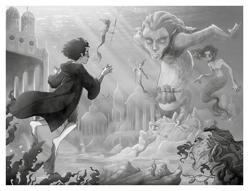 The Second Task (Spanish illustrated edition)