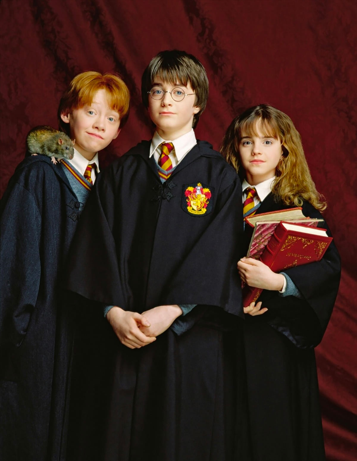 Portrait of Ron Weasley, Harry Potter and Hermione Granger