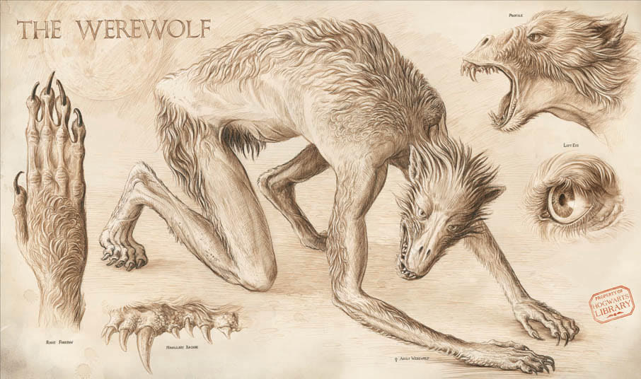 The Werewolf
