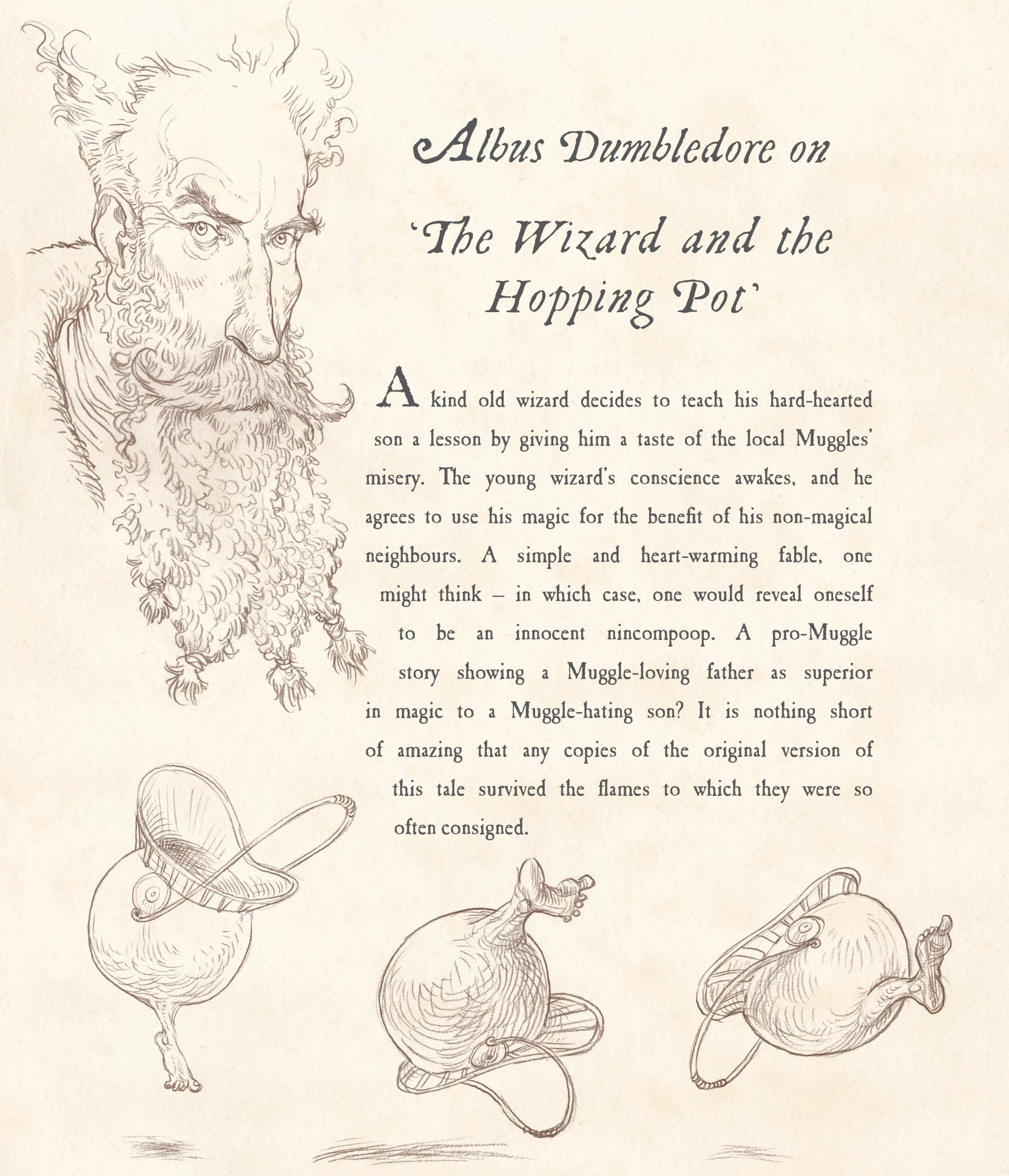 The Wizard and the Hopping Pot (Chris Riddell)