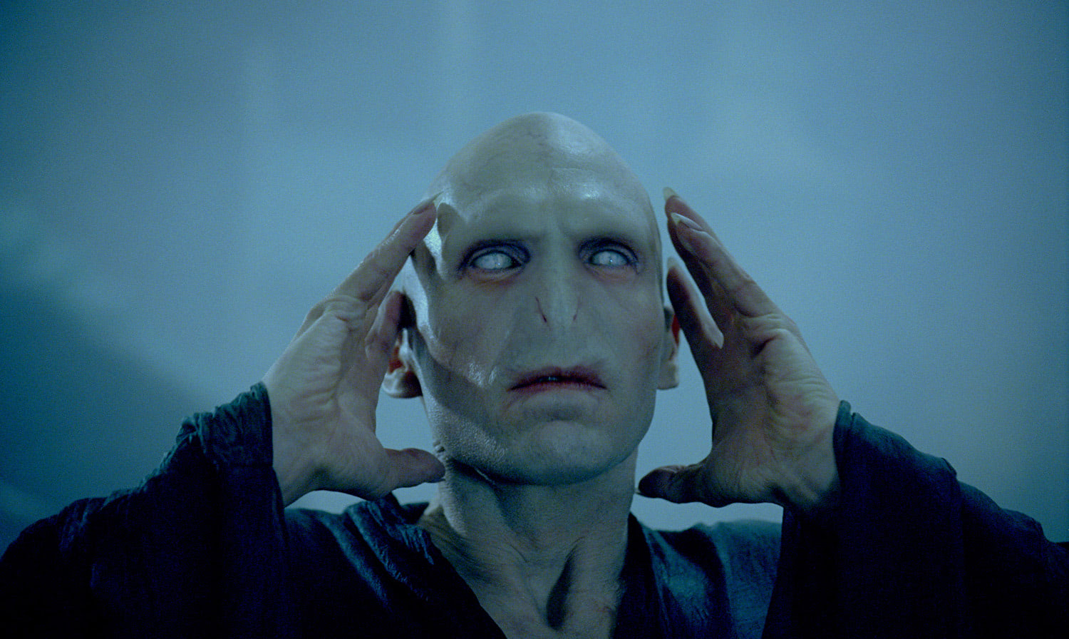 Harry Potter Voldemort Gesicht JVTP