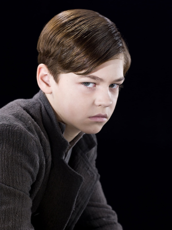 Portrait of Tom Riddle — Harry Potter Fan Zone